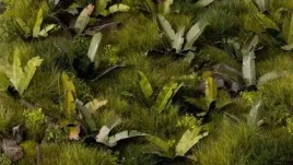 gamers-grass-laser-plants-banana-tree-drzewo-bananowe