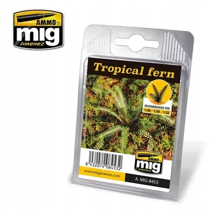 ammo-plants-tropical-fern