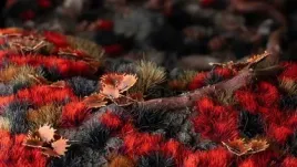 gamers-grass-grass-tufts-6-mm-alien-blood-moon-wild