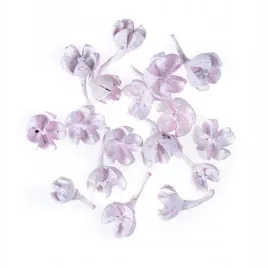 suszone-owoce-rozowe-10g-espe