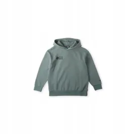 dziecieca-bluza-atlantic-hoodie-164