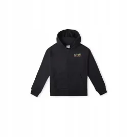dziecieca-bluza-circle-surfer-f-z-sweat-176