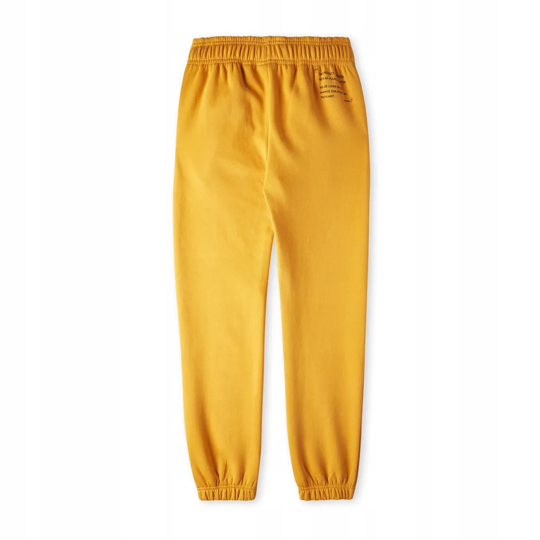 dzieciece-spodnie-future-surf-jogger-152