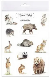 magnesy-zwierzeta-lesne-mama-maluje