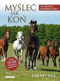 myslec-jak-kon-galaktyka