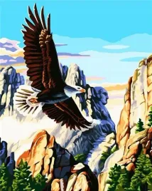 malowanie-po-numerach-orzel-amerykanski-40x50cm-artifly