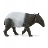 tapir