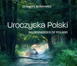 uroczyska-polski-arkady