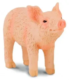 prosie-pachnace-collecta