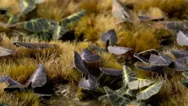 gamers-grass-laser-plants-black-magic-taro-kolokazja-black-magic-game