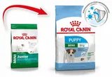 royal-canin-mini-puppy-2kg-wiek-zwierzecia-karma-uniwersalna