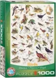 puzzle-1000-ptaki-eurographics