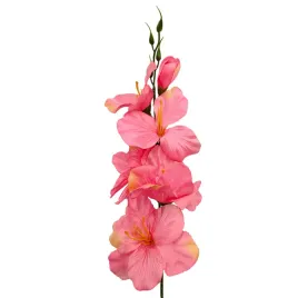 Zdjęcie produktu Mieczyk pojedynczy pink 50cm, 12 sztuk - Hortens