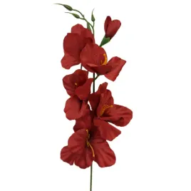mieczyk-pojedynczy-dk-red-50cm-12-sztuk