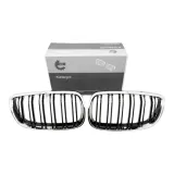 atrapa-grill-nerki-do-bmw-330-d-2007-2008