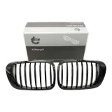 atrapa-grill-nerki-do-bmw-318-ci-2000-2001
