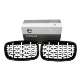 atrapa-grill-nerki-do-bmw-x5-2008