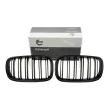 atrapa-grill-nerki-do-bmw-x5-2008