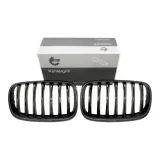 atrapa-grill-nerki-do-bmw-x5-2008