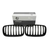 atrapa-grill-nerki-do-bmw-x5-2008