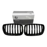 atrapa-grill-nerki-do-bmw-x5-2002-2003