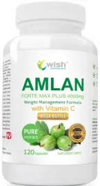 wish-amlan-forte-120-kaps-agrest-indyjski-wit-c