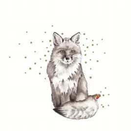 karnet-swarovski-kwadrat-lis-i-ptaszek