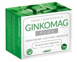 ginkomag-plus-pamiec-i-koncentracja-120-kaps