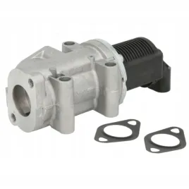 zawor-egr-fiat-multipla-2000-2001-2002-2003-2004-2005-2006-2007-2008-2009