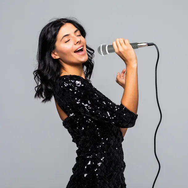 mikrofon-dynamiczny-vonyx-dm58-stan-nowy-kod-producenta-173-457