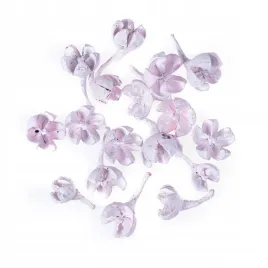 suszone-owoce-rozowe-10g