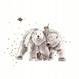 karnet-swarovski-kwadrat-niedzwiadki-i-ptaszki