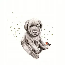 karnet-swarovski-kwadrat-piesek-i-ptaszek