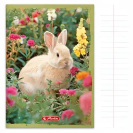 zeszyt-szkolny-linia-a5-32-kartkowy-herlitz-zwierzatka