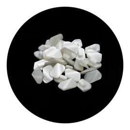 guzik-10x19mm-stopka-10szt-bialy