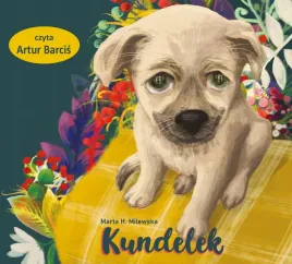 cd-mp3-kundelek