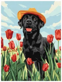 malowanie-po-numerach-uroczy-labrador-30x40cm