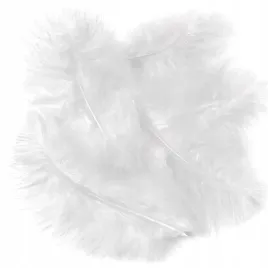 piora-indycze-biale-15cm-5szt