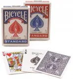 karty-rider-back-jumbo-bicycle