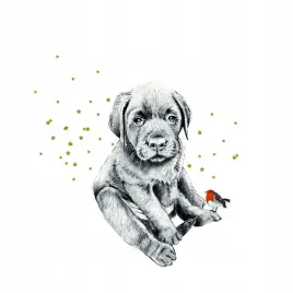 karnet-zlocony-kw-piesek-i-ptaszek