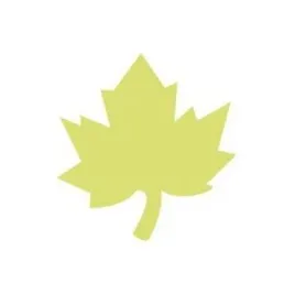 dziurkacz-ozdobny-5cm-klon