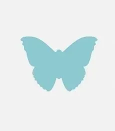 brewis-dziurkacz-ozdobny-motyl-5cm-mix-wzorow