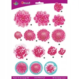 papier-do-decoupage-3d-kwiaty-chryzantemy-arkusz