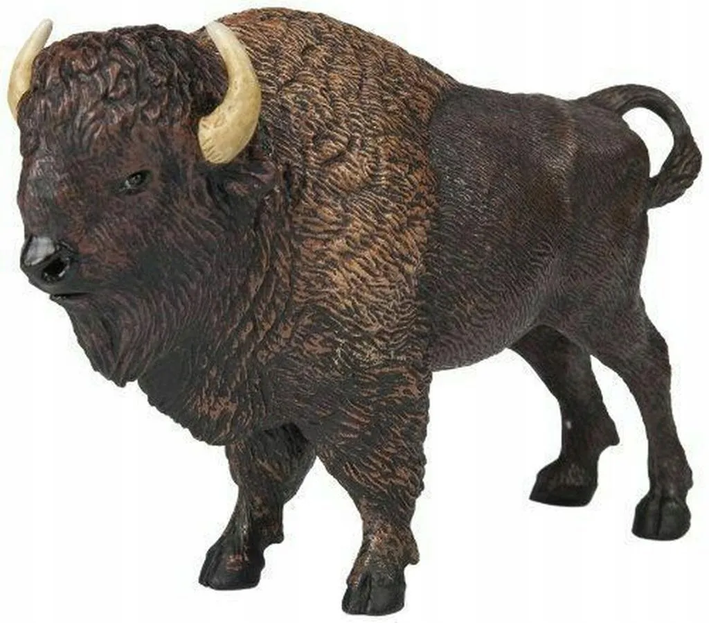 bawol-amerykanski