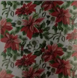 serwetka-bn-decor-cocktail-glory-poinsettia-25x25-20szt-op