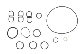 zestaw-uszczelek-skrzyni-korbowej-54195400-ajusa
