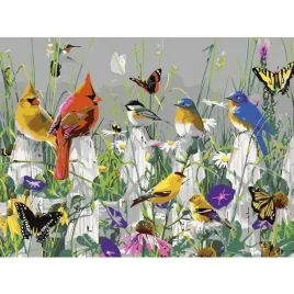 malowanie-po-numerach-30x40cm-ptaszki