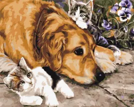 malowanie-po-numerach-30x40cm-pies-kot