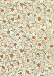 skona-ting-karnet-b6-z-koperta-elegancki-uniwersalny