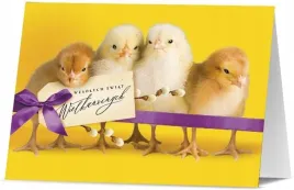 karnet-wielkanoc-k-b6-1678